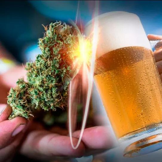 Canadá: la legalización del cannabis generó una disminución en el consumo de alcohol