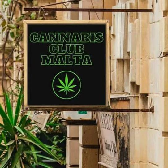 Malta: 750 personas se asociaron a los clubes de cannabis en su primer mes de funcionamiento