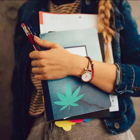 Aumentan las solicitudes universitarias en los estados de EEUU que legalizaron el cannabis