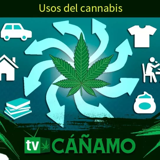 Todos los usos y beneficios del cannabis (utilidades del cáñamo industrial)