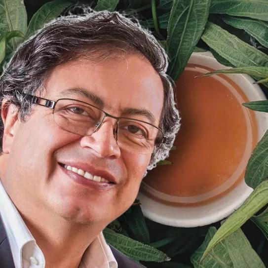El presidente de Colombia, Gustavo Petro, consumió ayahuasca