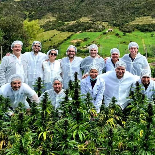 Una empresa latinoamericana de cannabis invierte 2 millones de dólares en la elaboración de alimentos con inteligencia artificial