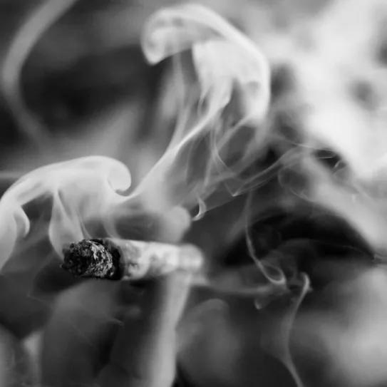 La fascinante historia del tabaco - Smoking paper