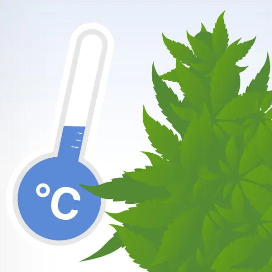 Variedades para climas fríos 