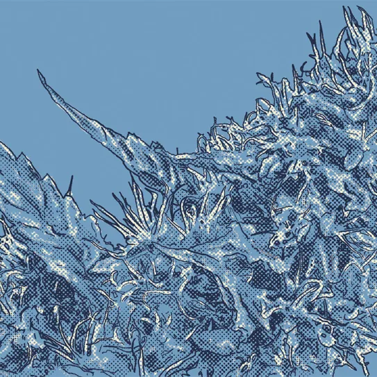 ¿Qué pasa si espero demasiado a cosechar? 