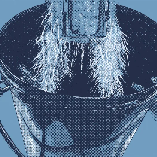 ¿Hidroponía o tierra? 