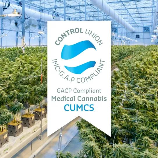 Una empresa argentina obtiene la certificación de cannabis medicinal más importante del mundo