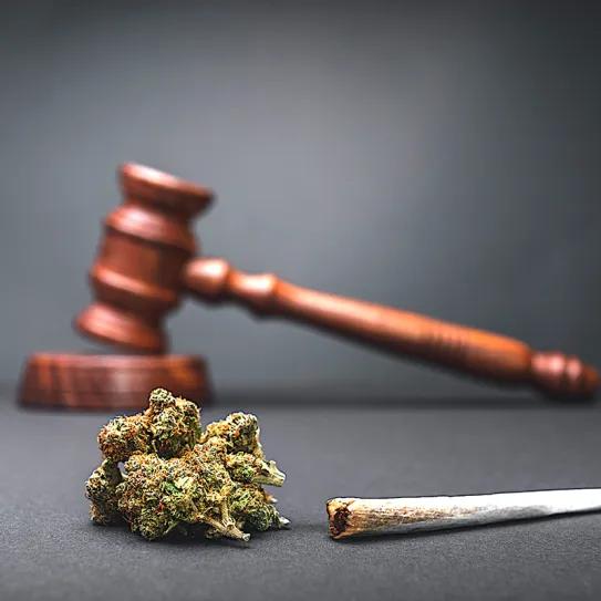 Absuelven al presidente de un Club Social de Cannabis de Tenerife