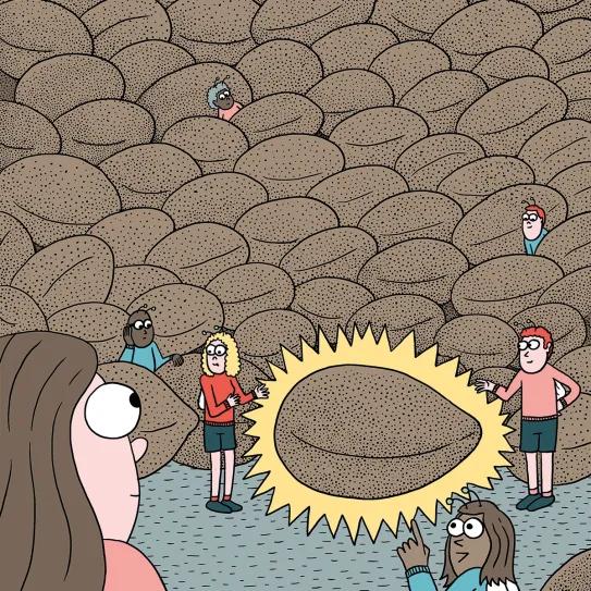 ¿Qué semillas compro? Guía para principiantes 