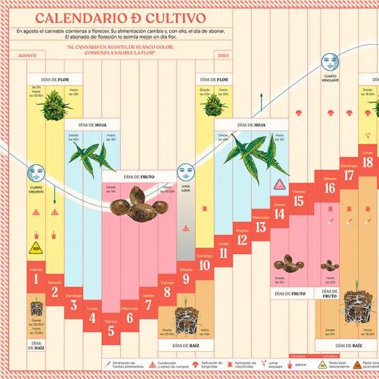 Calendario biodinamico Agosto 2025 CÁÑAMO 331