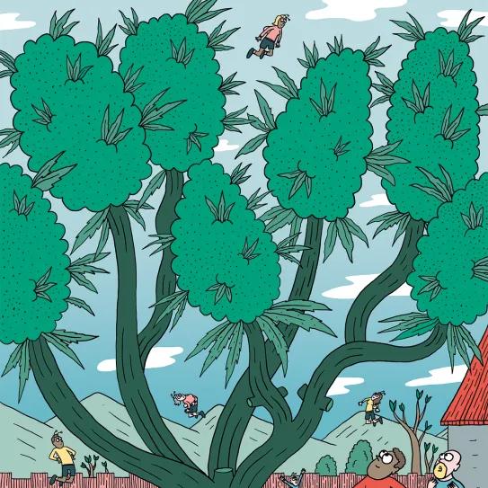 Listas para producir: cómo lograr superplantas