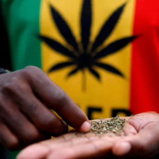 Sudáfrica reconoce derechos rastafari en su regulación cannábica