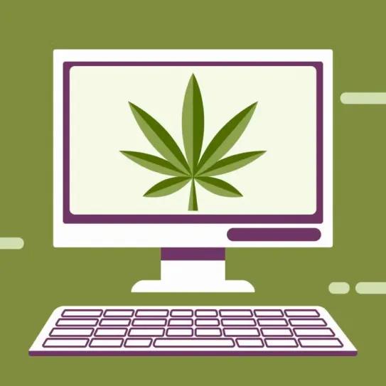PubMed supera 53.000 referencias sobre “marijuana”