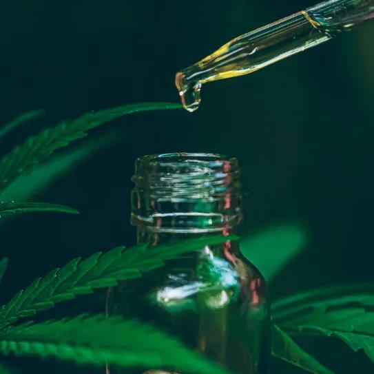 CBD en España: más de 500 tiendas y crecimiento del 35% anual
