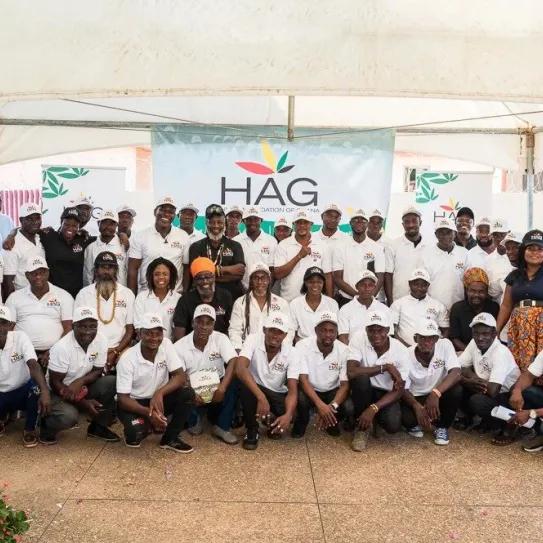 Productores piden bajar tarifas para licencias de cáñamo en Ghana