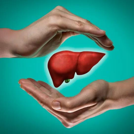 Asocian aceite de cannabis con remisión de cáncer hepático 