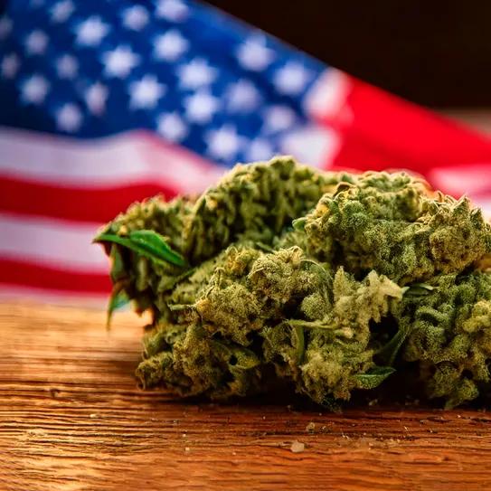 Cinco estados ajustan reglas de cannabis y cáñamo en 2026 en EE UU