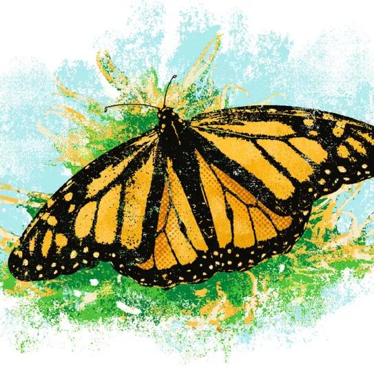 El negro futuro de Pensilvania 