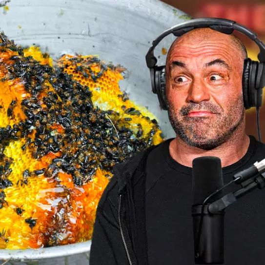 La miel de Nepal se viraliza por sus efectos y reabre debate sanitario