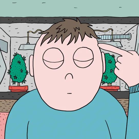 La mentalidad del cultivador ‘indoor’: diez claves para empezar sin tropiezos 