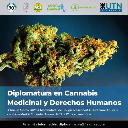 En Argentina se lanza diplomatura en industria y cultivo de cannabis