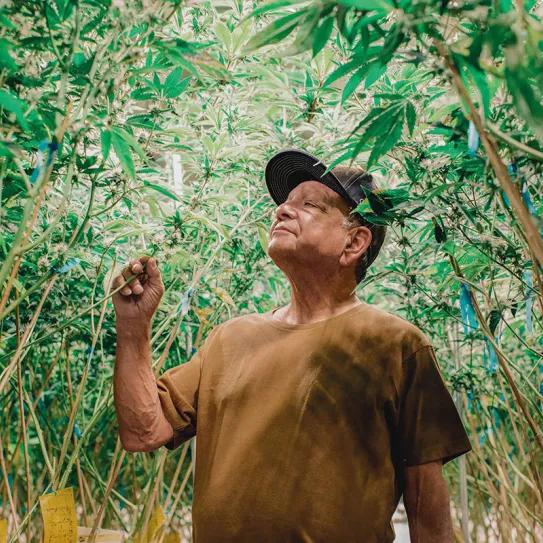 Entrevista con Richard “Cheech” Marin