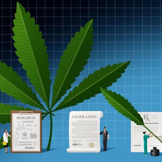 Sesgo de giro inverso: Cuando los datos favorecen al cannabis, pero la conclusión dice “no”