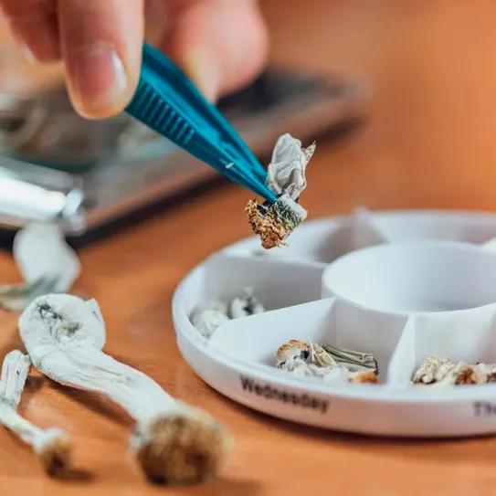 La microdosificación de psilocibina se extiende en EE UU