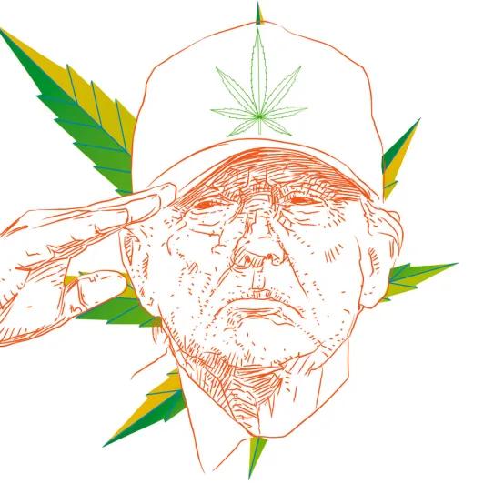 Observatorio ¿El cannabis irá a la Lista III?