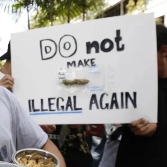Tailandia corrige su experimento con el cannabis legal