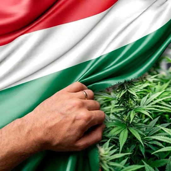 En Hungría se podría abrir una ventana para reformar el cannabis