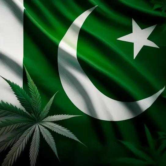 Pakistán destina fondos a regular el cannabis medicinal