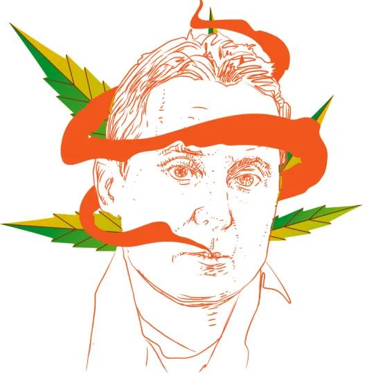 Marihuana: represión, guerra y deserción 