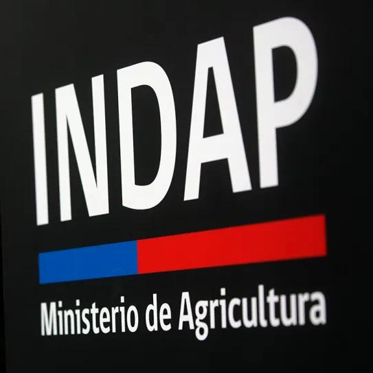Cannabis y créditos agrícolas bajo la lupa fiscal en Chile