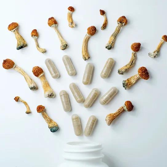 La psilocibina muestra señales prometedoras frente al uso de cocaína