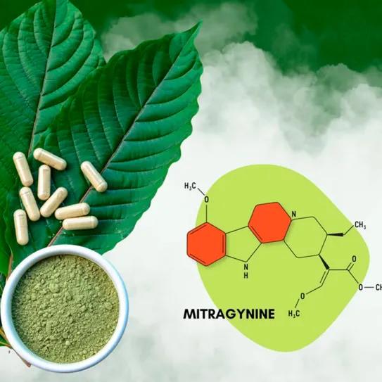 La FDA habilita un ensayo clínico con mitraginina
