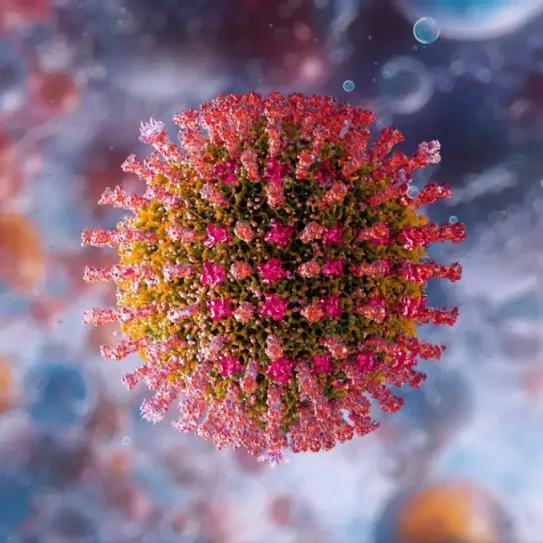 Un cannabinoide minoritario muestra potencial frente al sarampión