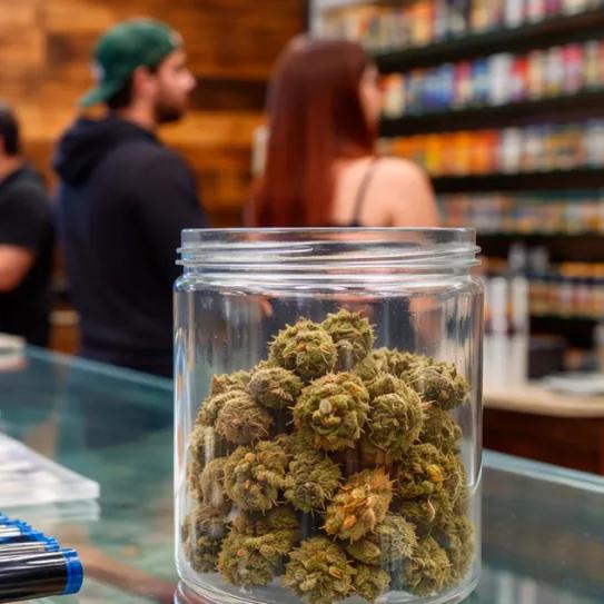 Amplio respaldo a gravar negocios cannábicos sin licencia en Los Ángeles