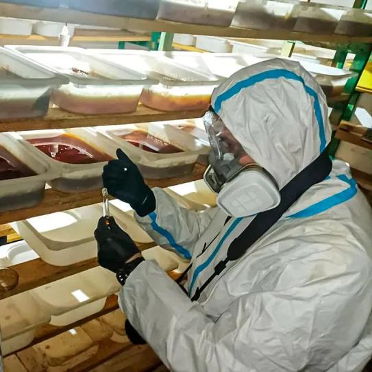 Parte de una incautación de 185 kilogramos de catinonas sintéticas confiscadas en un laboratorio desmantelado de producción de drogas sintéticas en Pyskowice, Polonia, 2024.