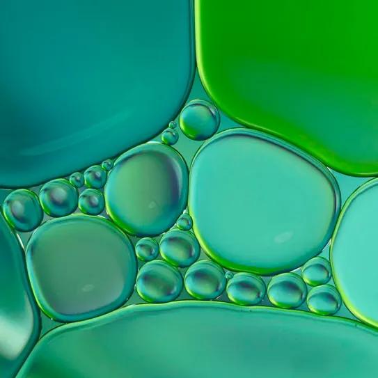 Una nanoemulsión con CBD atenúa alteraciones testiculares