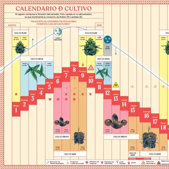 Calendario biodinámico lunario de agosto 2026 - Cáñamo 310
