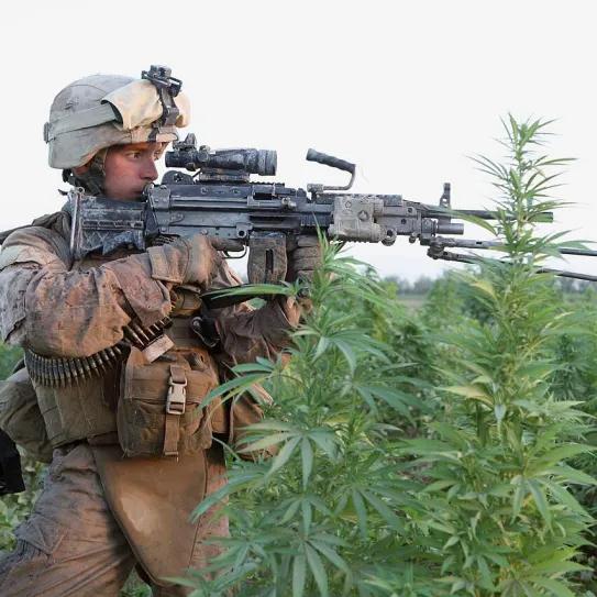 El Pentágono mantiene la prohibición del cannabis entre sus filas