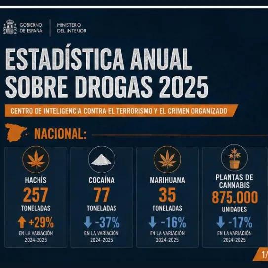 El Ministerio de Interior registra menos cocaína y más hachís y sintéticas