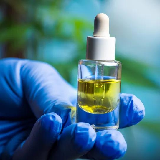 Cannabis rico en CBD muestra una señal contra el dolor postoperatorio