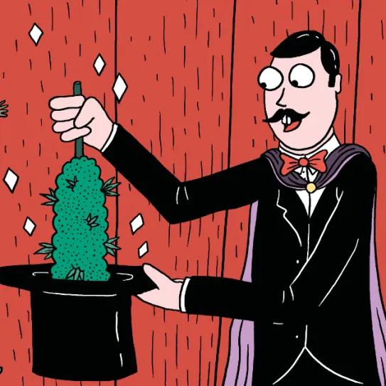 El mes de la magia: trucos para el final de la floración 