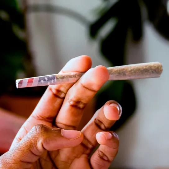 El 23 % de adultos de EE UU usó cannabis