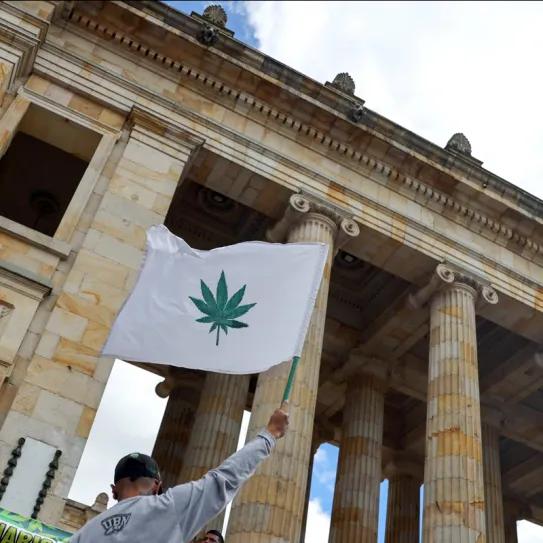 Reforma sobre cannabis adulto inicia trámite en la Cámara colombiana