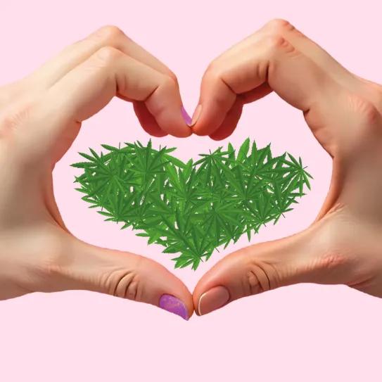 Amor y cannabis: una conexión química y emocional