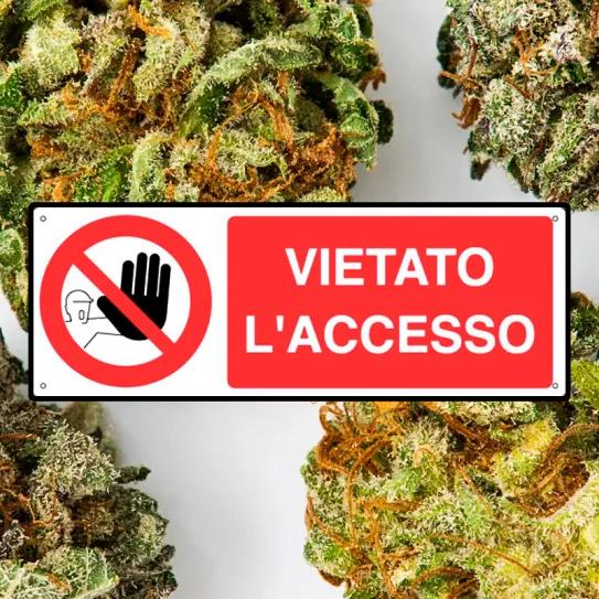 Italia mantiene el veto al cáñamo hasta su revisión constitucional