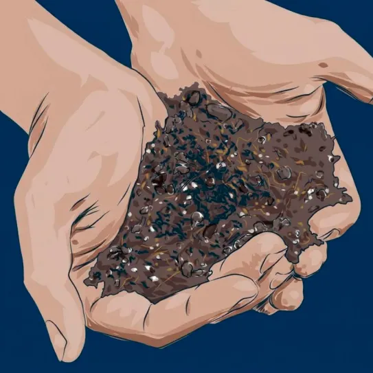 ¿Qué hago con la tierra tras la cosecha? 